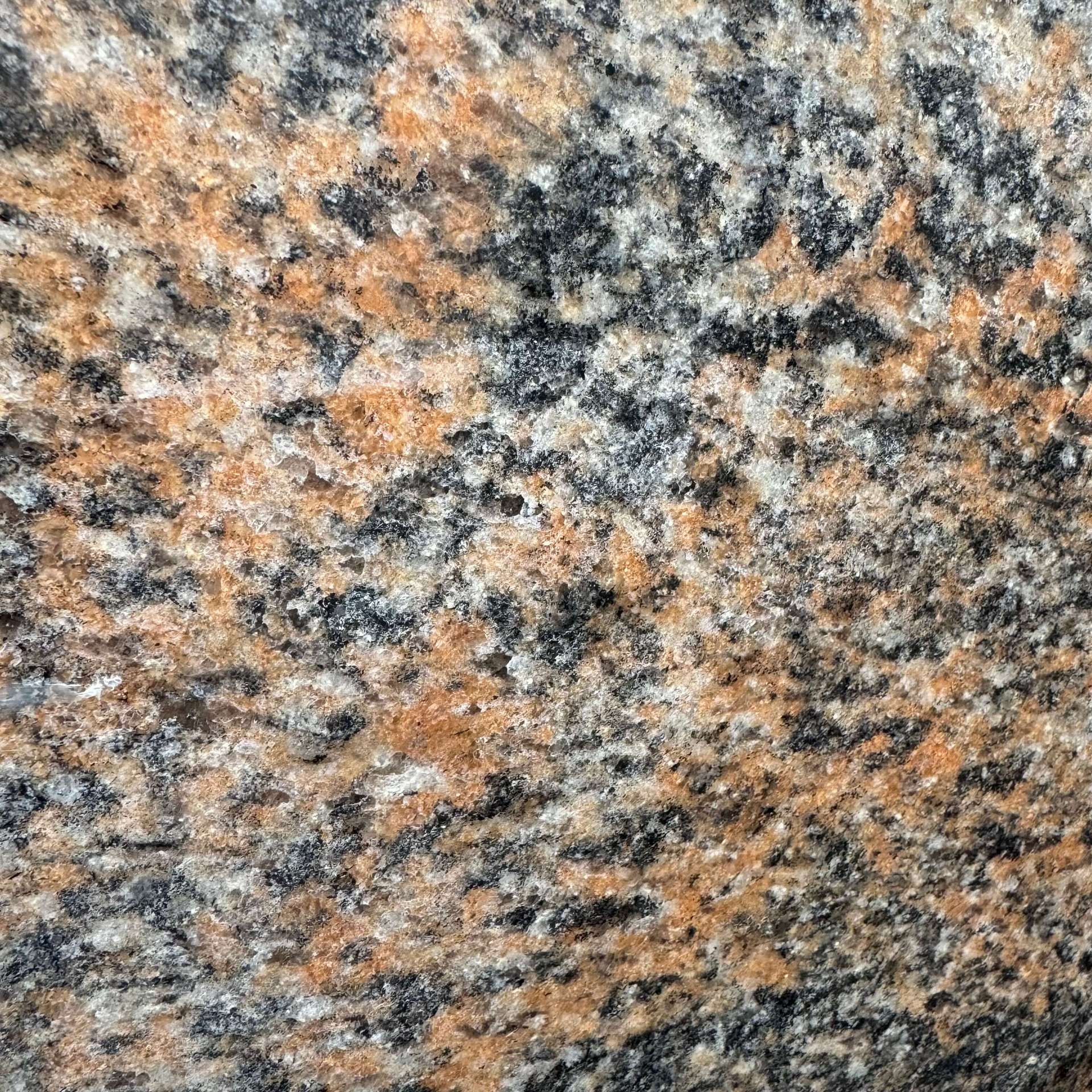 GNEISS