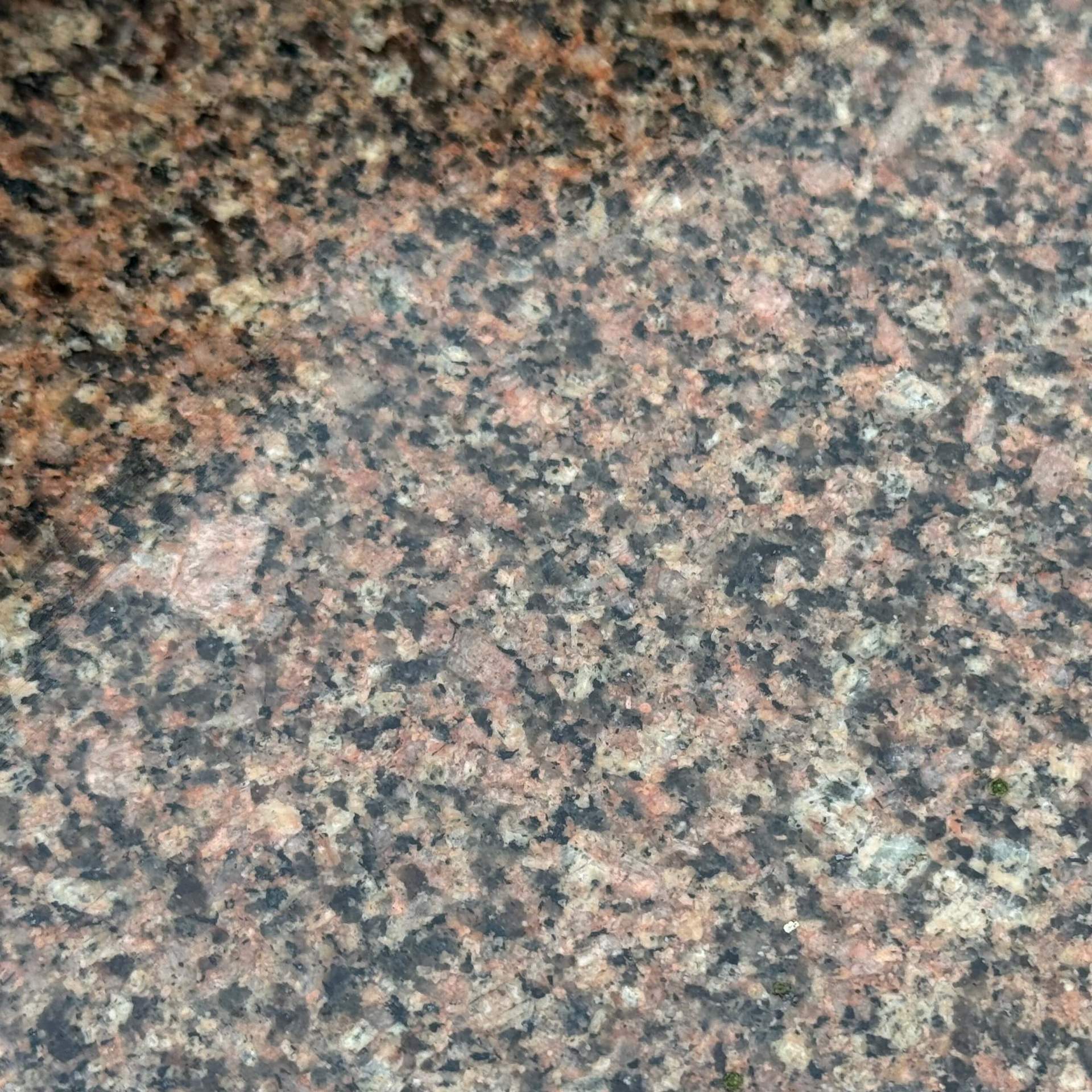 BOHUS RED 