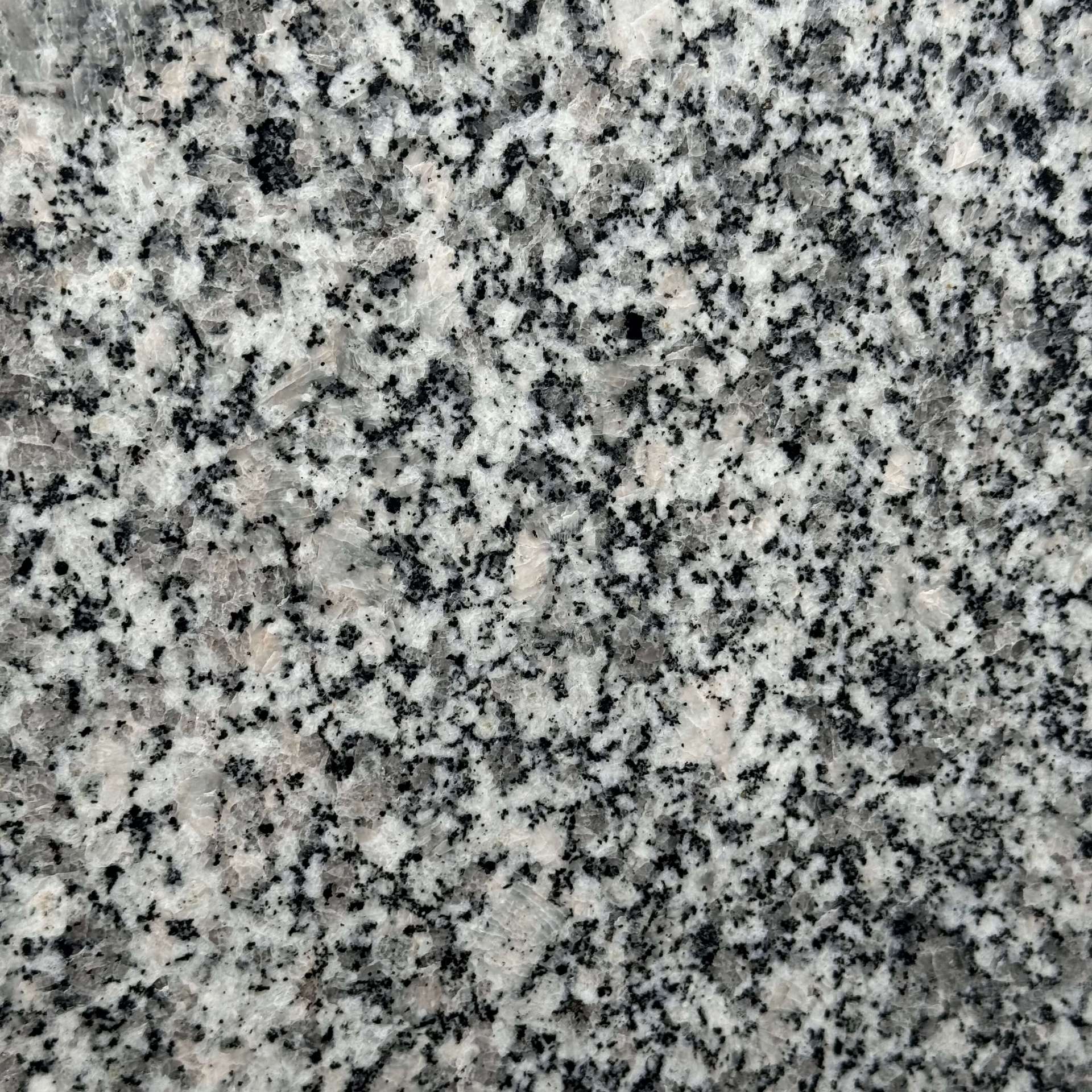 GRIS CASALDO
